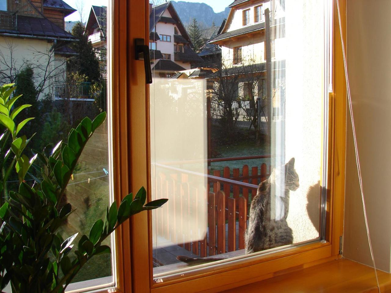 Apartamento Kalina Zakopane Exterior foto